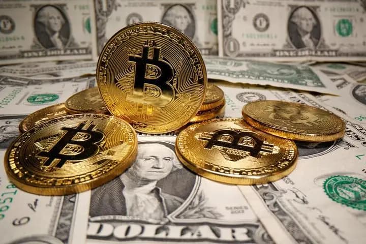 Fiat & Access Layer illustration